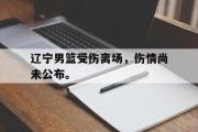 电子竞技app下载-辽宁男篮受伤离场，伤情尚未公布。