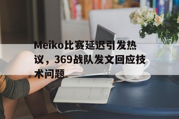 Meiko比赛延迟引发热议，369战队发文回应技术问题