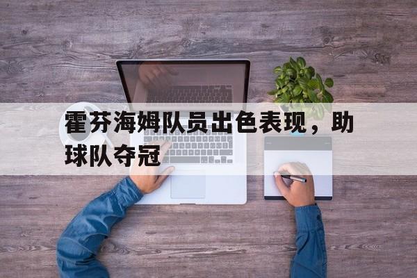 霍芬海姆队员出色表现，助球队夺冠