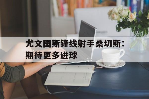尤文图斯锋线射手桑切斯：期待更多进球